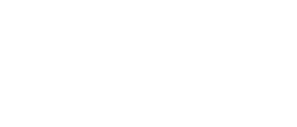 Ignite Partners Logo