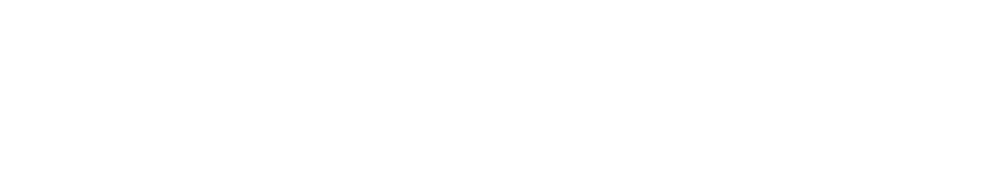 Ignite Investment Summit main logo